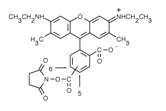 TAMRA|56-_6G 